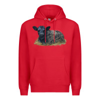 Red Black Angus Calf Illustrations Premium Hoodie - LillyAllenDesigns