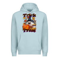 Blue Mist Halloween Hedgehog Trick Or Treat Premium Hoodie - LillyAllenDesigns
