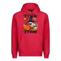 Cardinal Halloween Hedgehog Trick Or Treat Premium Hoodie - LillyAllenDesigns