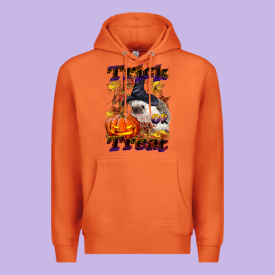 Halloween Hedgehog Trick Or Treat Premium Hoodie Designed By Lillyallendesigns