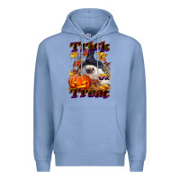 Colony Blue Halloween Hedgehog Trick Or Treat Premium Hoodie - LillyAllenDesigns