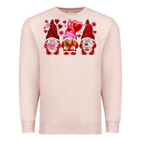 Pale Pink valentines day gnomies with heart balloon Premium Sweatshirt - NancyCooperArtShop