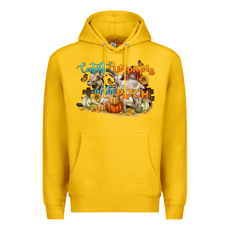 Cutest Pumpkins In The Patch Premium Hoodie by LillyAllenDesigns | Teevron