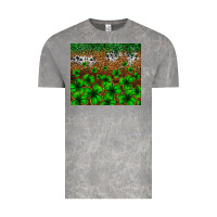 Cloud Rock St. Patrick's Day leopard cowhide tumbler Vintage Tee - Neo Western