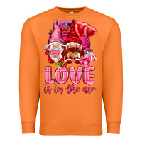 Carrot love is in the air with gnomies Premium Sweatshirt - NancyCooperArtShop