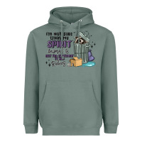 Sage spirit animal raccoon Heavyweight Hoodie - MaliasSmallBusiness