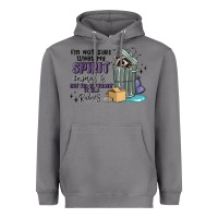 Storm spirit animal raccoon Heavyweight Hoodie - MaliasSmallBusiness