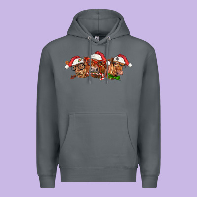 Christmas Red Angus Cows Premium Hoodie Designed By Lillyallendesigns