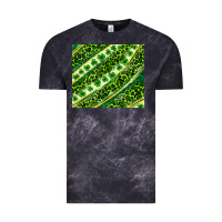 Cloud Black St. Patrick's Day leopard tumbler Vintage Tee - Neo Western