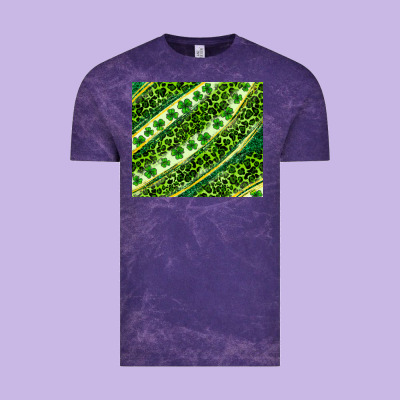 St. Patrick's Day Leopard Tumbler Vintage Tee Designed By Neo Western
