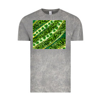 Cloud Rock St. Patrick's Day leopard tumbler Vintage Tee - Neo Western