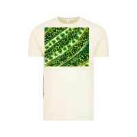 Vintage Arctic St. Patrick's Day leopard tumbler Vintage Tee - Neo Western