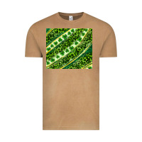 Vintage Camel St. Patrick's Day leopard tumbler Vintage Tee - Neo Western