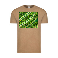 Vintage Coffee St. Patrick's Day leopard tumbler Vintage Tee - Neo Western