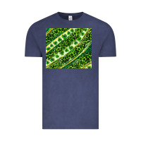 Vintage Denim St. Patrick's Day leopard tumbler Vintage Tee - Neo Western