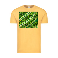 Vintage Mustard St. Patrick's Day leopard tumbler Vintage Tee - Neo Western