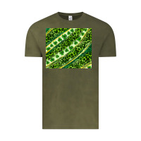 Vintage Olive St. Patrick's Day leopard tumbler Vintage Tee - Neo Western