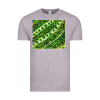 Vintage Zinc St. Patrick's Day leopard tumbler Vintage Tee - Neo Western