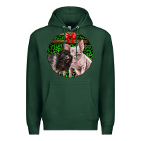 Sports Green christmas pig Premium Hoodie - LillyAllenDesigns