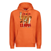 Carrot christmas llama Premium Hoodie - LillyAllenDesigns
