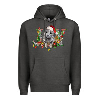 Charcoal Heather Russian Blue Cat Joy Premium Hoodie - LillyAllenDesigns