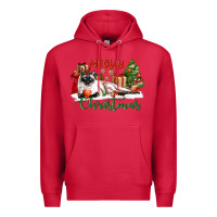 Cardinal siamese cat meowy christmas Premium Hoodie - LillyAllenDesigns