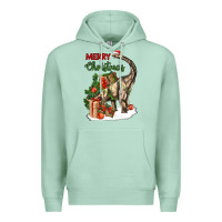 Seafoam merry christmas brachiosaurus Premium Hoodie - LillyAllenDesigns