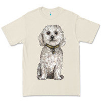 Bone bichon frise dog Premium Tee - BarkalooDesign