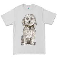 Dove Grey bichon frise dog Premium Tee - BarkalooDesign