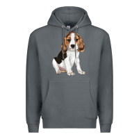 Rock beagle puppy Premium Hoodie - LillyAllenDesigns