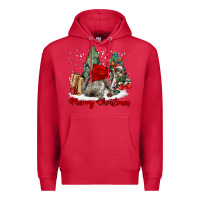 Cardinal Merry Christmas Gray Squirrel Premium Hoodie - LillyAllenDesigns