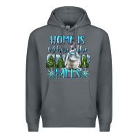Rock Home Is Where The Snow Falls Winter Penguin Premium Hoodie - LillyAllenDesigns