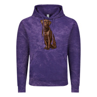 Cloud Purple labrador retriever Vintage Hoodie - RanaPortraitStore