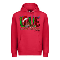 Cardinal love came dow christmas Premium Hoodie - RacoonDesign