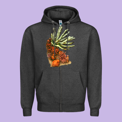 Coral Reef Zipper Hoodie Designed By Lillyallendesigns