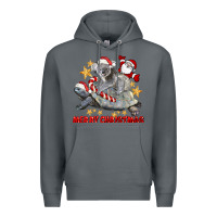 Rock Merry Christmas Tortoise And Koala Premium Hoodie - LillyAllenDesigns