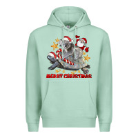 Seafoam Merry Christmas Tortoise And Koala Premium Hoodie - LillyAllenDesigns