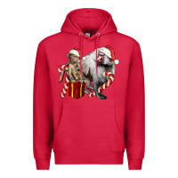 Cardinal Christmas Baboon Baby And Mama Premium Hoodie - LillyAllenDesigns