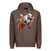 Coffee Christmas Baboon Baby And Mama Premium Hoodie - LillyAllenDesigns