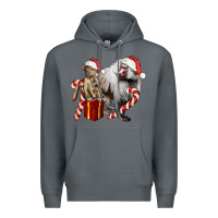 Rock Christmas Baboon Baby And Mama Premium Hoodie - LillyAllenDesigns