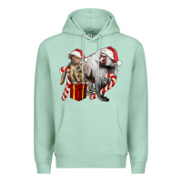 Seafoam Christmas Baboon Baby And Mama Premium Hoodie - LillyAllenDesigns