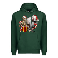 Sports Green Christmas Baboon Baby And Mama Premium Hoodie - LillyAllenDesigns
