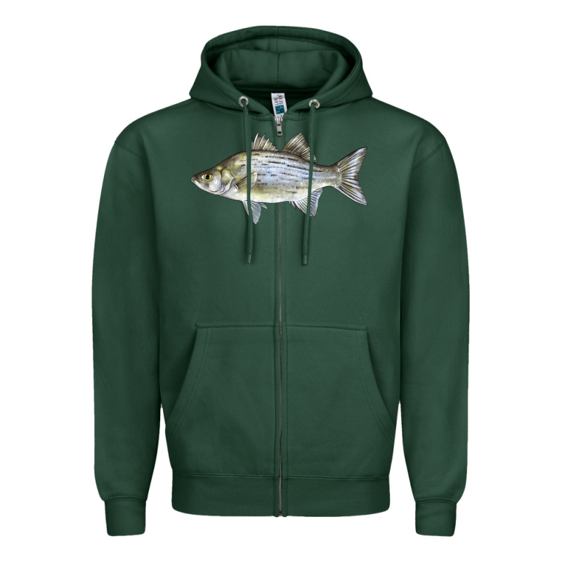 White Bass Fish Illustrations Zipper Hoodie by LillyAllenDesigns | Teevron