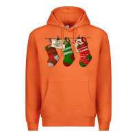 Carrot Christmas Socks With Santa Letter Premium Hoodie - LillyAllenDesigns