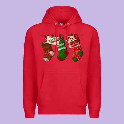 Christmas Socks With Santa Letter Premium Hoodie Designed By Lillyallendesigns