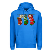 True Royal Christmas Socks With Santa Letter Premium Hoodie - LillyAllenDesigns