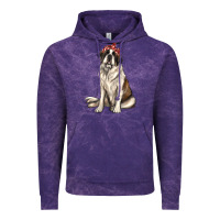 St Bernard With Bandanna Vintage Hoodie | Teevron