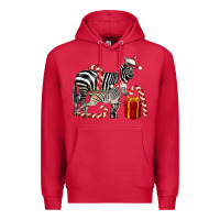 Cardinal Christmas Zebra Baby And Mama Premium Hoodie - LillyAllenDesigns