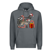 Rock Christmas Zebra Baby And Mama Premium Hoodie - LillyAllenDesigns