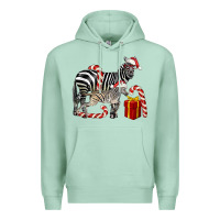 Seafoam Christmas Zebra Baby And Mama Premium Hoodie - LillyAllenDesigns